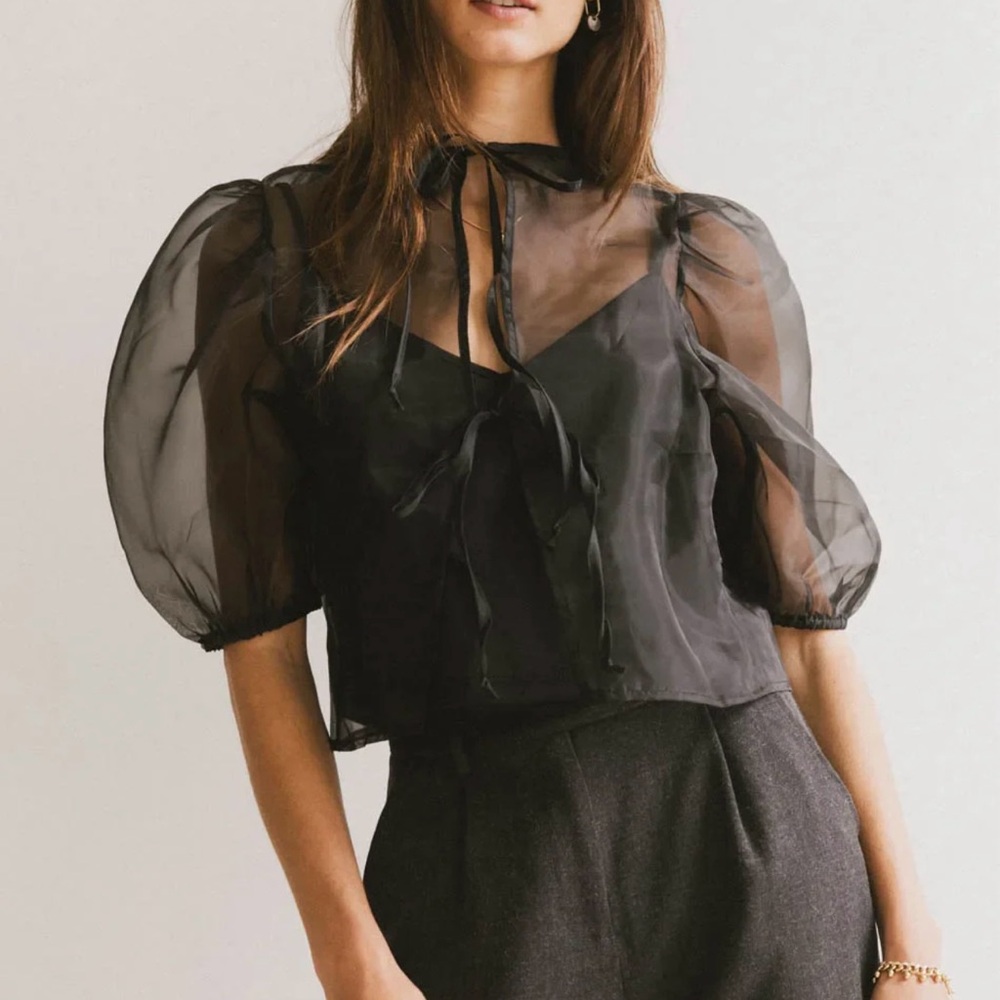 Bohme Black Sheer Blouse